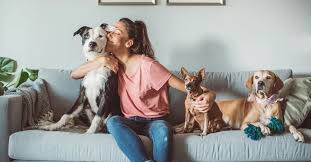 The Essentials of Pet Insurance in Australia: What Pet Owners Need to Know